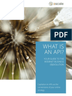 What Is An API 1.0 PDF