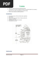 Fruticultura