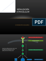 Señalizacion Intracelular