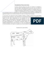 Características Físicas de La Carne