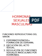 Hormonas Sexuales Masculinas