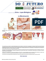 Nueva Medicina Germanica Mujer Menstruacion Menarca Ovulacion