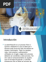 Proceso Esterilización