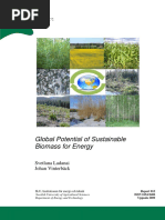 Global Potential of Sustainable Biomass For Energy (2009) S.ladaNAI & J.vintERBACK