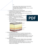 Fungsi Lipid Secara Umum