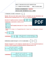 Matrizes e Determinantes - Dante - Gabarito - 2008 PDF