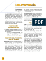 Pielolitotomia PDF