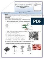 Diagnostico Ciencias Tercero Basico