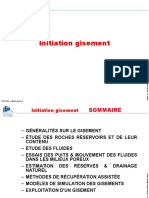 PRO01099 - Initiation Gisement