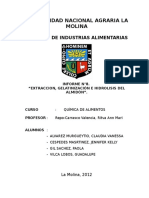 Extraccion, Gelatinización e Hidrolisis Del Almidón