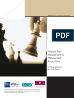 CIMA Mag Financial Risk Jan09