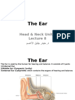 The Ear: Head & Neck Unit - مسعسلا ليلج رديح .د