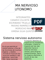 Sistema Nervioso Autonomo