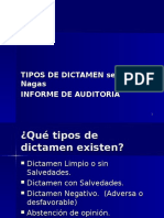 Tema 17 Tipos Dictamen Segun Nagas, Notas A Los Ef