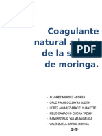 Moringa Proyecto