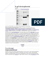 Polyacrylamide Gel Electrophoresis: Procedure