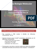 Aula 2 Cromossomos e Compactação DNA PDF