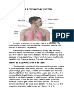 The Respiratory System (Handouts)