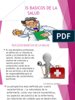 Nucleos Basicos de La Salud-1