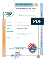 Nutricion Celular