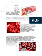 Composicion de La Sangre