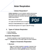 Cellular Respiration 