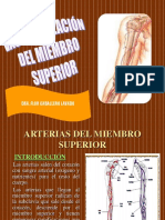 Vascularización Del Miembro Superior