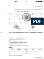 Evaluación Inicial de CCNN