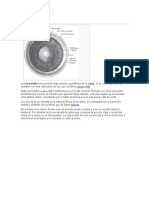 Anatomia Ora Serrata