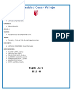 Tamaño y Ciclo de Vida Las Organizaciones