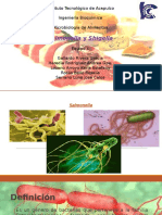 Salmonella y Shigella