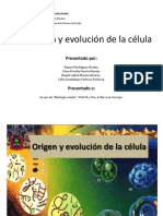 Origen y Evolución de La Celula PDF