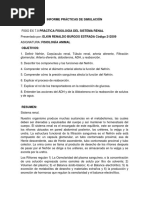 Informe de Simulación Sistema Renal