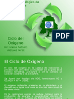 Ciclo Del Oxigeno