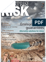 Enterprise Risk - May 2010