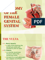 01 Anatomy of Female Genital System 