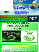 Bonos de Carbono en El Protokolo de Kioto