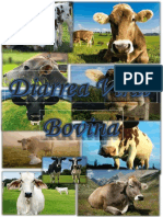 Diarrea Viral Bovina PDF