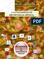 Protozoarios de Importancia Clinica