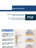 EMBRIOLOGIA Sistema Nervioso