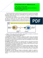 Conceptos Sobre Integración Neuroendocrina-Reproducción