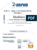 Biofísica Aula 2 Termodinamica 2016 Betania