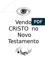 Vendo Cristo No Novo Testamento