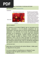 Tratamiento Del Colesterol Con Biomagnetismo