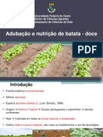 Apresentação - Nutrição e Adubação Da Batata-Doce