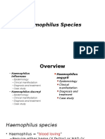 Haemophilus SPP