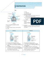 Respiration: 1.1 Human Breathing Mechanism