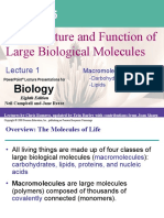 The Structure and Function of Large Biological Molecules: Biology