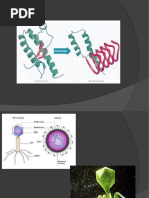 Abiogenesis Versus Biogenesis