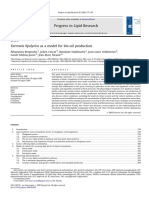 Yarrowia Lipolytica As A Model For Bio-Oil Production PDF